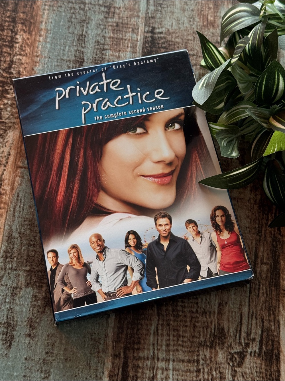 “Private Practice” Season 2 on DVD